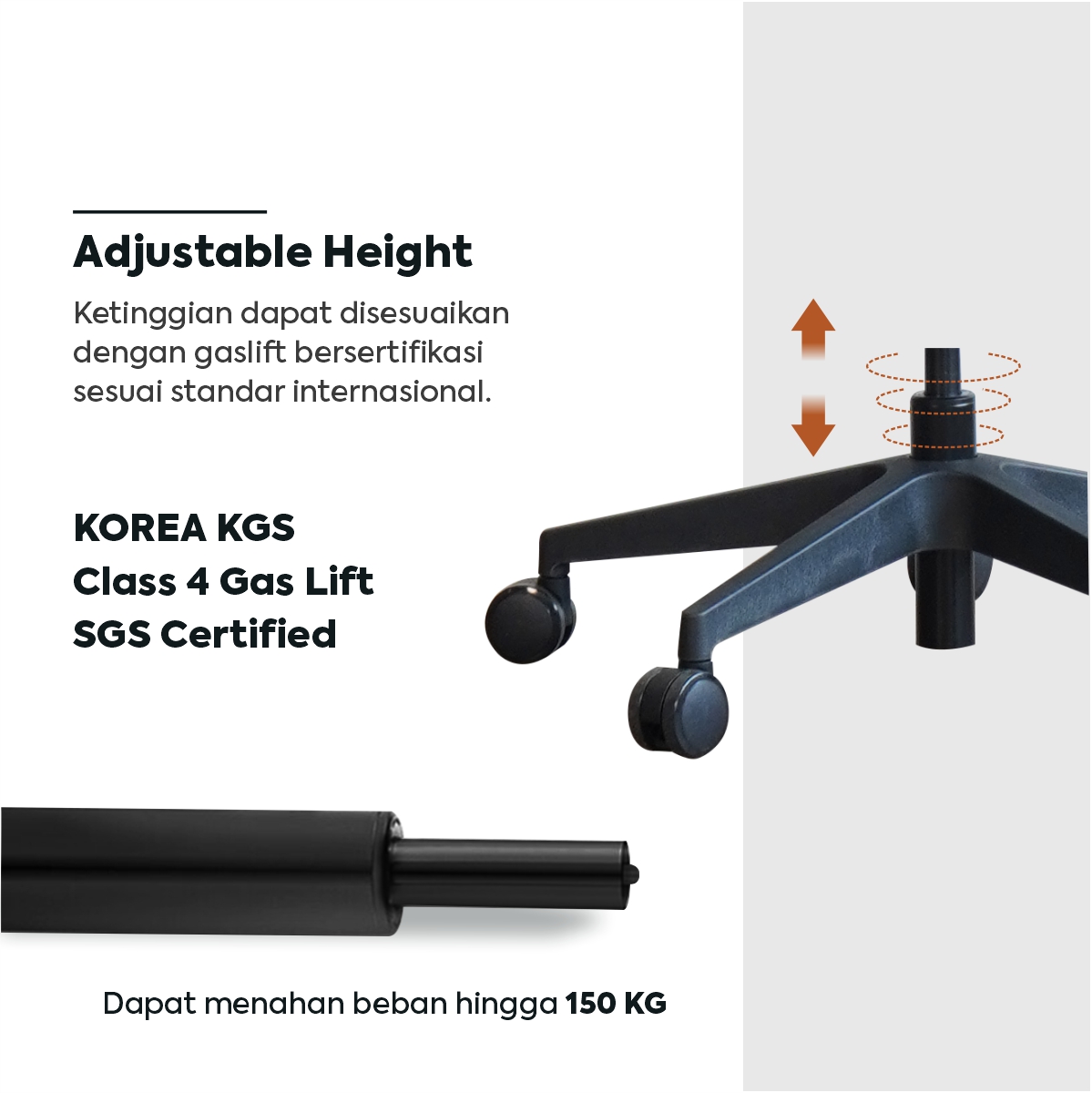 product-large