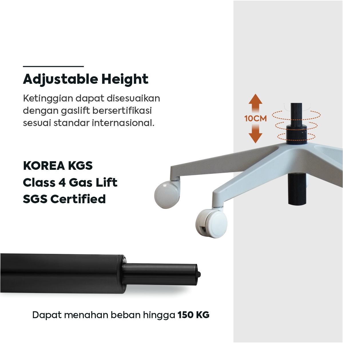 product-large