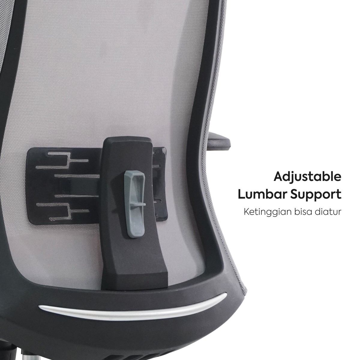 product-large